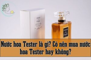 Nước hoa Tester là gì Có nên mua nước hoa Tester hay không